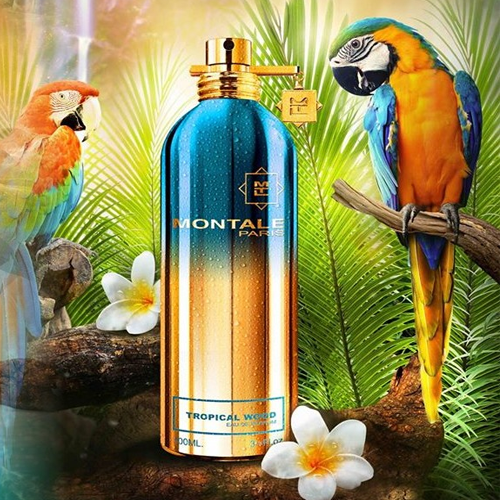 Montale-Tropical-Wood-Eau-de-Parfum